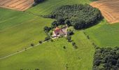 Tour Zu Fuß Blomberg - Nelkenweg Zubringer 1 - Photo 4