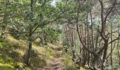 Tour Wandern Saint-Georges-en-Couzan - Randonnée au dessus de Vaux - Photo 5