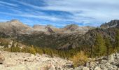 Trail Walking Saint-Martin-Vésubie - Lac des Adus - Photo 5