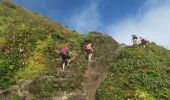 Trail On foot Saint-Claude - La Soufrière et le retour par le Col de l'Échelle - Photo 13