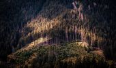 Tocht Te voet Onbekend - Cabana Gura Râului-La Table-Moieciu de Jos - Photo 6