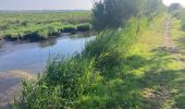 Tocht Trail Saint-Joachim - Le Marais de Brière - Photo 3