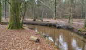 Tocht Te voet Schloß Holte-Stukenbrock - Rundwanderweg A7 - Photo 7