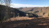 Trail Horseback riding Fougerolles-Saint-Valbert - Sarcenot 1h avec dénivelé  - Photo 1