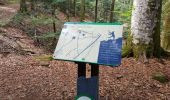Trail Walking Lepuix - Giromagny - sentier des mines - 2 à visiter - Photo 2