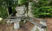 Tour Zu Fuß Fichtelberg - Brunnenweg - Photo 10