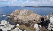 Excursión Senderismo Crozon - pointe de Dinan éperon barré - Photo 4