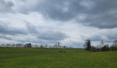 Tour Wandern Hohenfels - rando ornitho wibrin 26-04-2024 - Photo 2