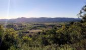 Excursión Senderismo La Roquebrussanne - SityTrail - 2718180 - baume-fere-font-coulette-croix-de-berard - Photo 11