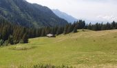 Tocht Mountainbike Hauteluce - tour lac girote - Photo 2