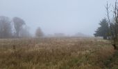 Trail Walking Namur - Wepion 211123 - Photo 8