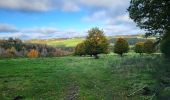 Tour Wandern Feitweiler - Fauvillers 221024 - Photo 1