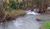 Tocht Stappen Assesse - crupet et sa grotte et son Donjon - Photo 1