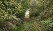 Trail Equestrian Charleville-sous-Bois - Wikiloc - Gondreville - Les secrets des bois - Photo 12