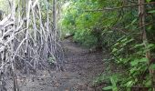 Tocht Stappen Le Robert - randonnée pointe banane - Photo 3