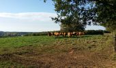 Tocht Stappen Chazelles - La randonnée autour de Chazelles  - Photo 7