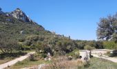 Tour Wandern Saint-Rémy-de-Provence - CR_Domitia_BB_24_St-Remy-Provence_Orgon_20220405 - Photo 13