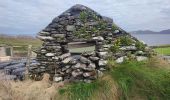 Randonnée Marche West Cork - Dursey Sound - Allihies beach - Photo 10