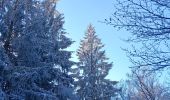 Tocht Stappen Spa - berinzenne entre forêt et fagne  - Photo 16