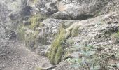 Trail Walking Brignoles - l'Amarron - Photo 4
