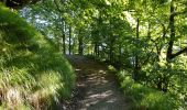 Tocht Stappen Cauterets - cauterets Cabaliros Sireix  - Photo 15