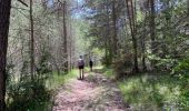 Trail Walking Saint-Pierre-des-Tripiers - Cassagnes crête vallée Jonte et Tarn 12,2 km - Photo 17