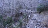 Randonnée A pied Vidrà - Vidrà-Puig de les Àligues - Photo 2