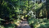 Trail Walking Habay - marche adeps ruelles  - Photo 7