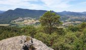 Trail Walking Dambach-la-Ville - Sommets et rochers - Photo 10