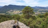 Tocht Stappen Dambach-la-Ville - Sommets et rochers - Photo 10