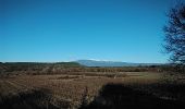 Excursión Senderismo Pernes-les-Fontaines - pernes les terres mortes 84210 - Photo 3