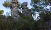 Tocht Stappen Toulon - Faron côté nord  - Photo 8