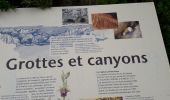 Trail Walking Saulges - Saulges -Grottes Margot - Moulins -  Oratoire de Saint-Ceneré - Photo 9