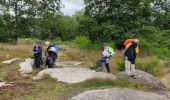 Trail Walking Nainville-les-Roches - Les grands avaux - Photo 5
