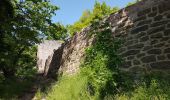 Tocht Stappen Unknown - Baden Baden - rando des 