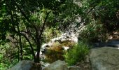 Tour Wandern Thuès-Entre-Valls - Thues les Bains Les Sources - Photo 6