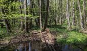 Percorso A piedi Bakov nad Jizerou - Bělá p. Bezdězem (žst., rozc.) - Klokočka - Photo 2