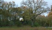 Tocht Te voet Huizen - IJzeren Veld, Bikbergen en Crailo - Photo 1