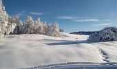 Tocht Sneeuwschoenen Haut Valromey - raquettes chapelle5km6 - Photo 8