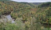 Randonnée Marche Houffalize - TOUR LAC DE NISRAMONT - Photo 7