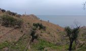 Tour Wandern Port-Vendres - anse des paulilles - cap bear / retour par les vignes - Photo 7