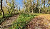 Tour Mountainbike Vaires-sur-Marne - parcours The Race 18km reperage - Photo 10