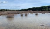 Tocht Stappen Vic-la-Gardiole - Le Bois des Aresquiers - Photo 4