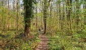 Trail Walking Châtelet - Balade à Bouffioulx - Photo 6