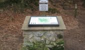 Randonnée A pied Sevenoaks - Octavia Hill centenary trail east - Photo 4