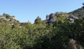 Randonnée Marche Gordes - abbaye de senanque par gordes - Photo 8