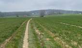 Trail Walking Mont-de-l'Enclus - Mont de l'Enclus - Photo 4