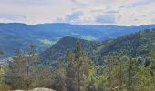 Tocht Stappen La Vancelle - marche la vancelle rocher du coucou  - Photo 3