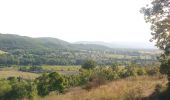 Trail Mountain bike Puygiron - VTT CHATEAU de ROCHEFORT - Photo 1