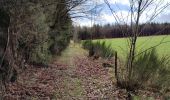 Tour Wandern Geilich - La promenade des bornes frontière - Photo 7